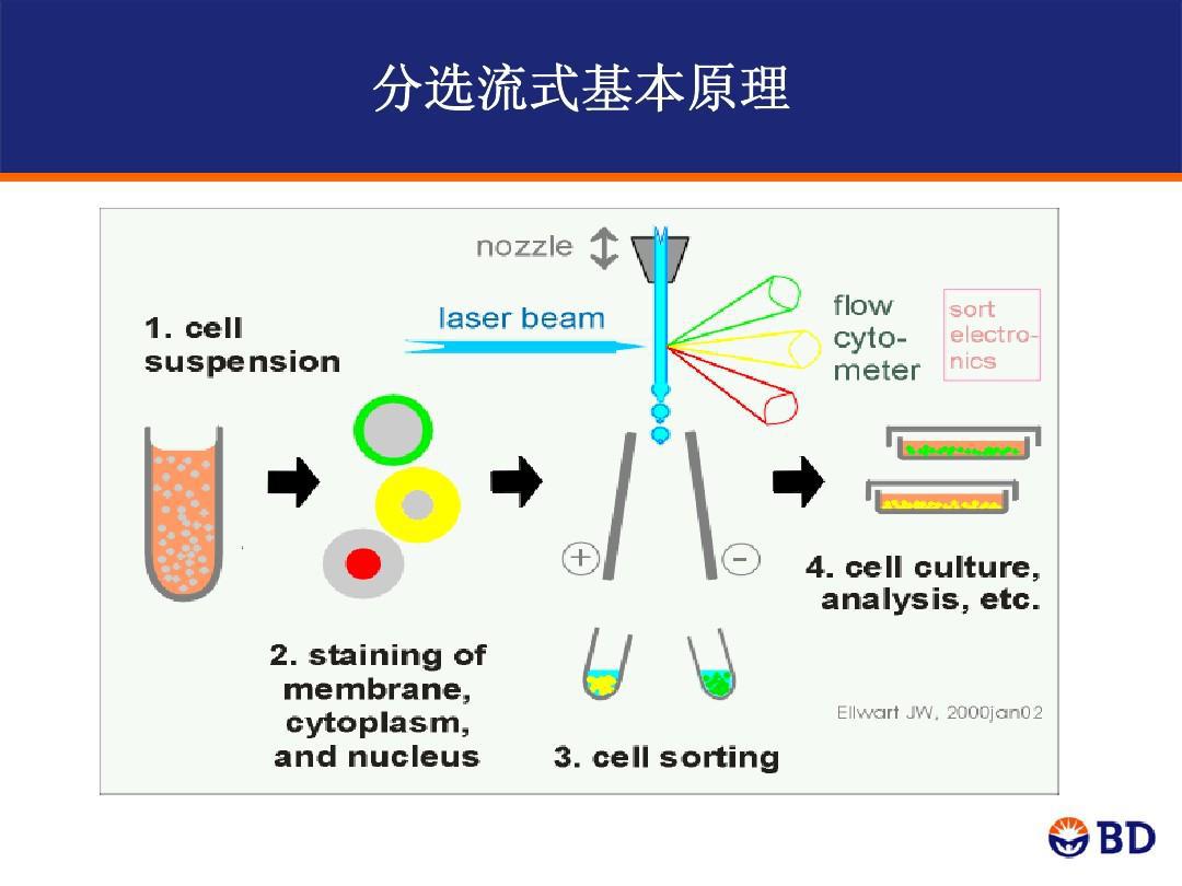 in situ hybridization, fish),俗称生命科学中的"钓鱼"技术;是通过