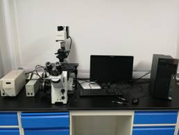 奥林巴斯荧光显微镜.jpg